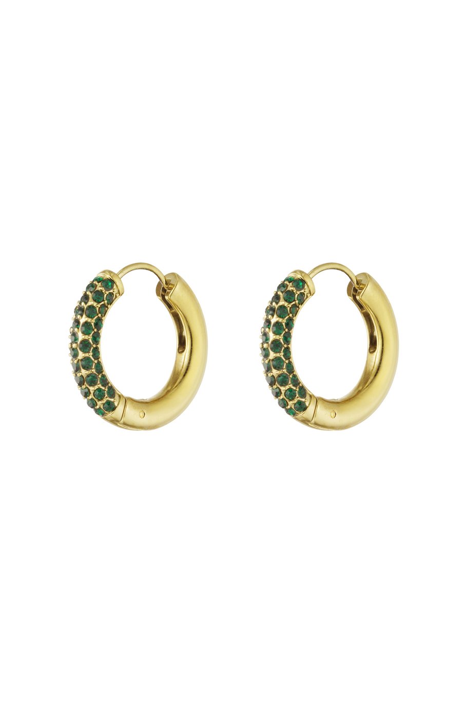 Oorbellen shiny rings