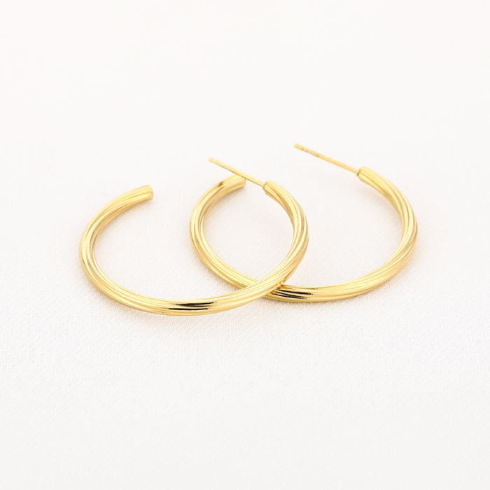 Oorbellen Twisted Hoops